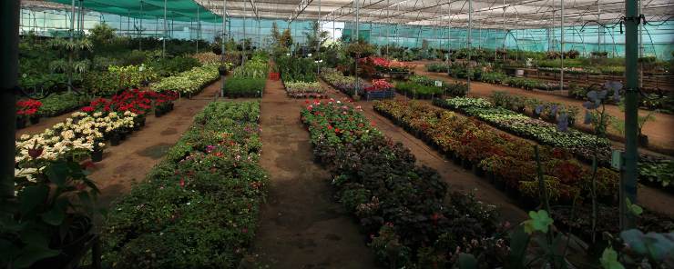 The Enchanted Gardens
