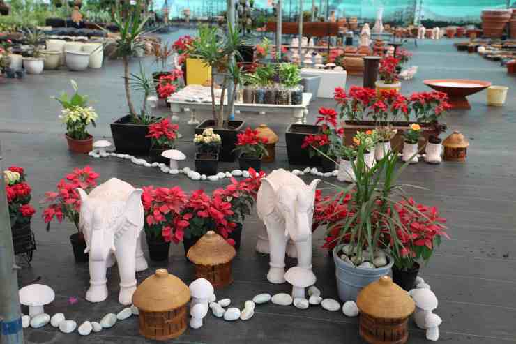 The Enchanted Gardens