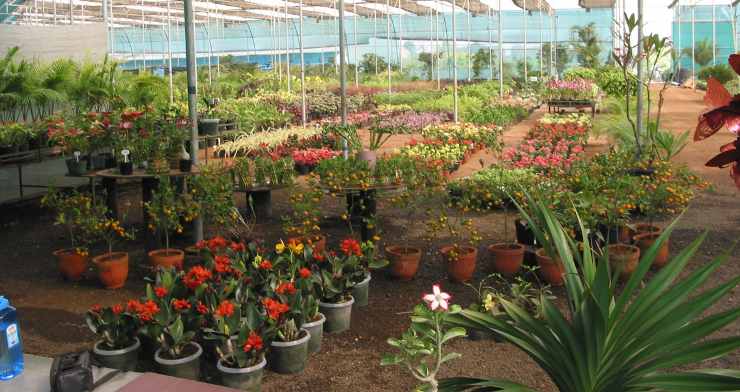 The Enchanted Gardens