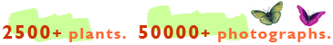 2500+ plants. 50,000+ photographs.